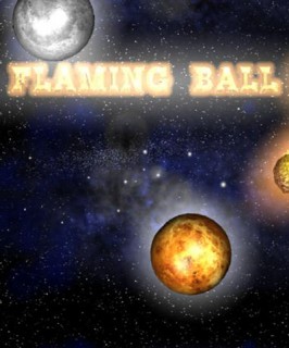 Flaming Ball (2010) PC