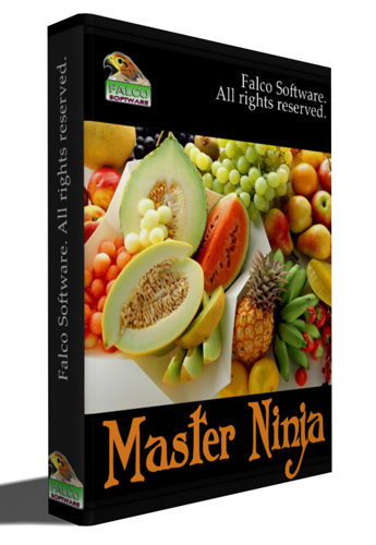 Master Ninja (2011) [ENG] PC